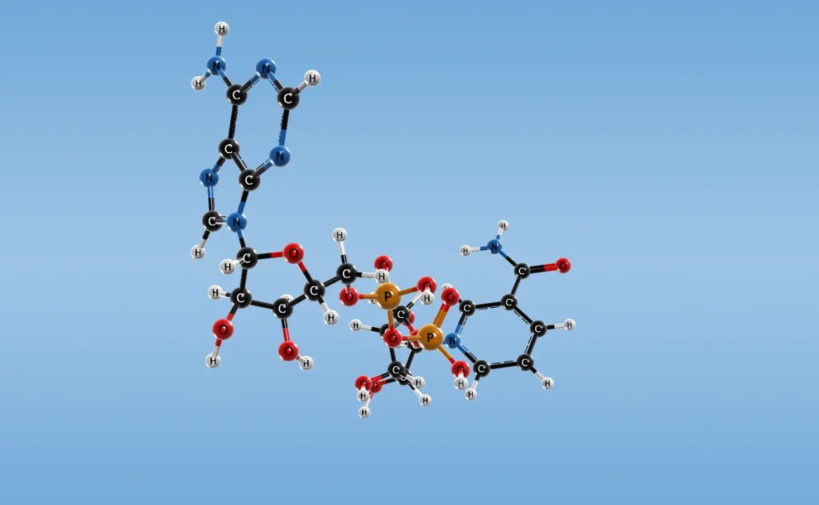 k妨o腺控:的简单介绍